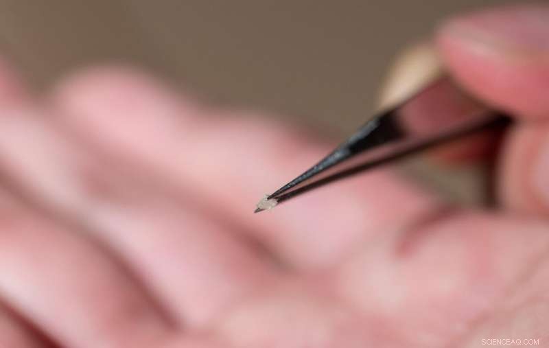 Vibration‑Powered Micro‑Robots the Size of a Tiny Ant