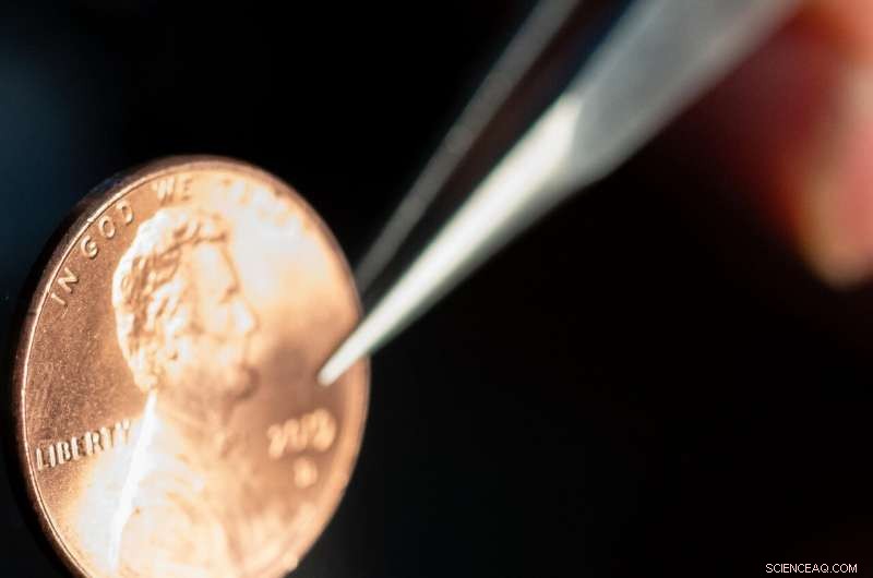 Vibration‑Powered Micro‑Robots the Size of a Tiny Ant