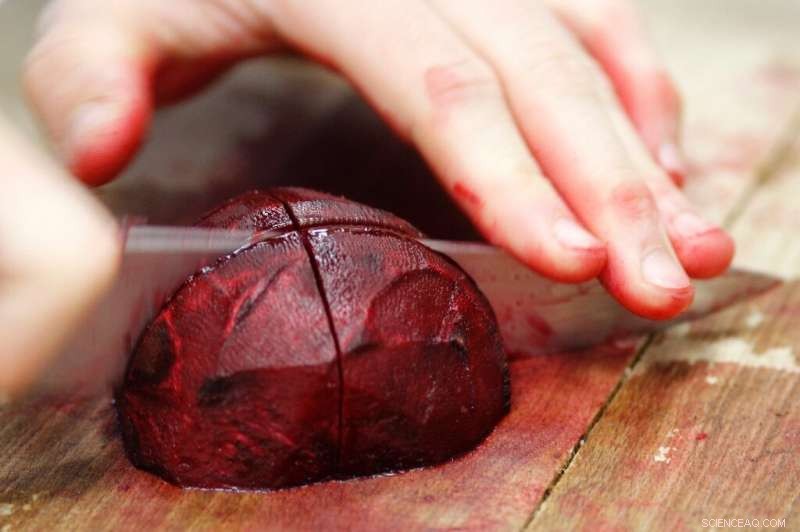 Revolutionizing Culinary Arts: How AI Enhances Food Quality and Pairings