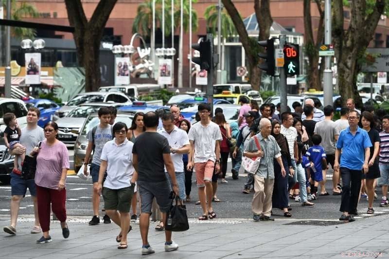 Singapore s Export Decline Signals Global Trade Warnings