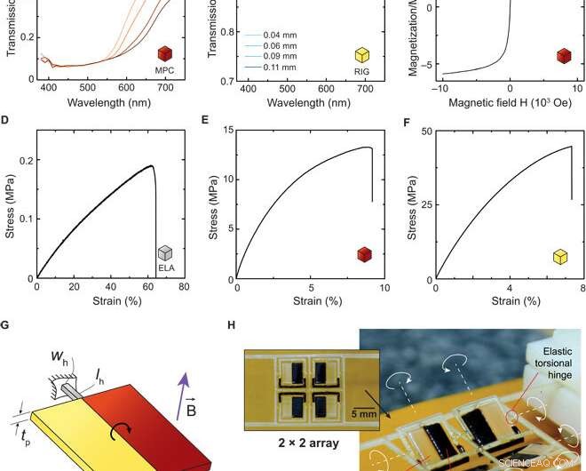 Designing Multimaterial Magnetic Actuators and Displays via Topology Optimization and 3‑D Printing