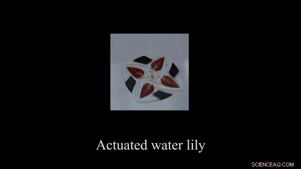 Designing Multimaterial Magnetic Actuators and Displays via Topology Optimization and 3‑D Printing