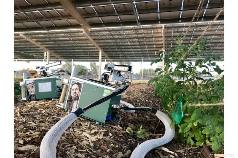 Solar Panels: A Positive Shade for Modern Agriculture