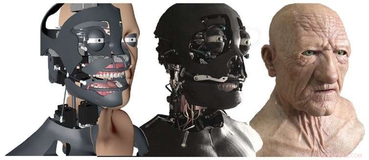 New Turing Test to Evaluate the Lifelike Quality of Humanoid Robots