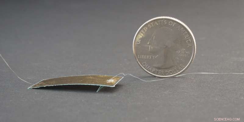 UC Berkeley Unveils Cockroach‑Inspired Robot That Runs Like a Bug and Withstands Human Weight