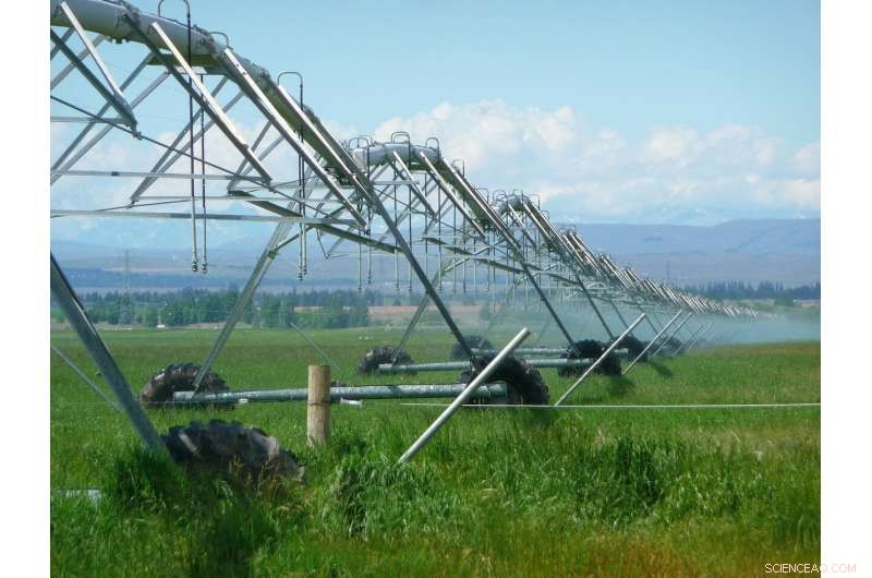 Innovative Camera System Offers Affordable Crop Temperature Monitoring