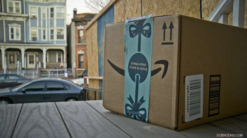 Amazon Package Theft: Experts Explain Why Shoppers Overlook the Risk