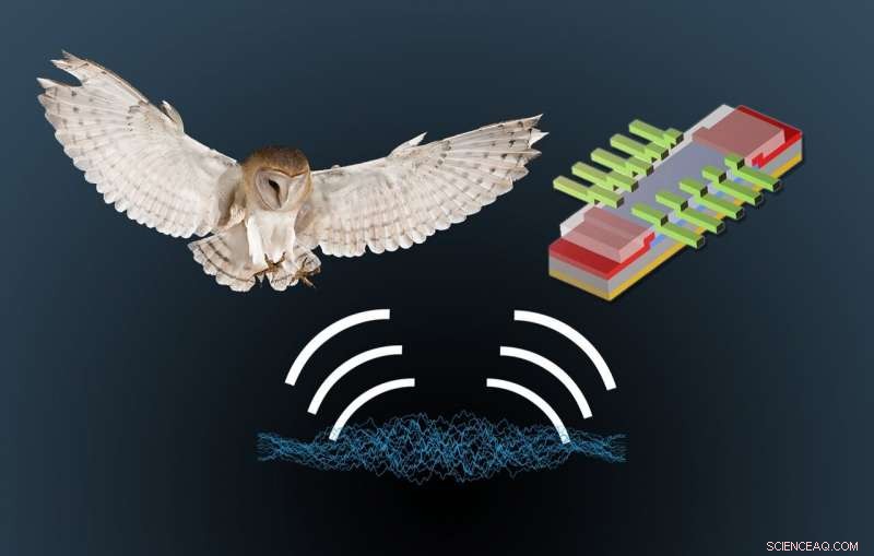 Barn Owls  Sound Localization Offers Breakthrough Blueprint for Next‑Gen Navigation