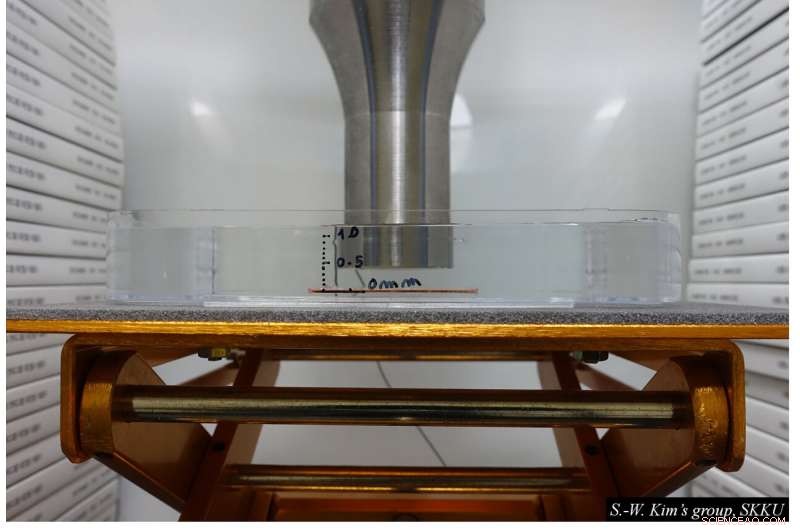 Ultrasound-Powered Implantable Device Generates Energy In‑Body