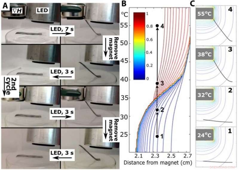 Magnetic and Light-Driven Soft Robotics: A Novel Technique for Precise Control and Reconfiguration