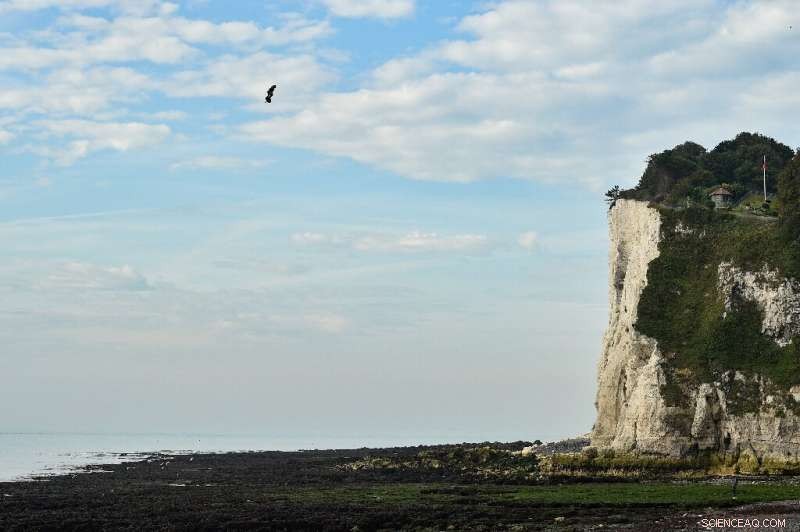 French Daredevil Flies Hoverboard Across English Channel, Realizing Dream
