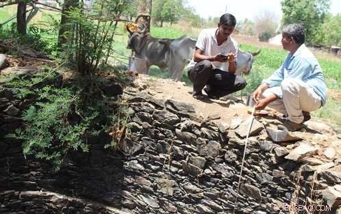 Crowdsource Water: App Empowers Indian Farmers Amid Water Crisis