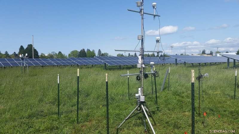 New OSU Study Confirms Farmlands Maximize Solar Panel Efficiency