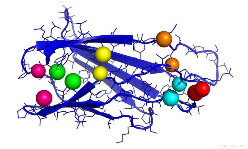 AI-Driven Protein Structure Prediction: Unlocking Molecular Insights