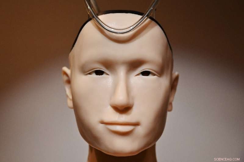 Japan’s 400‑Year‑Old Temple Introduces Robot Priest to Revitalize Buddhism