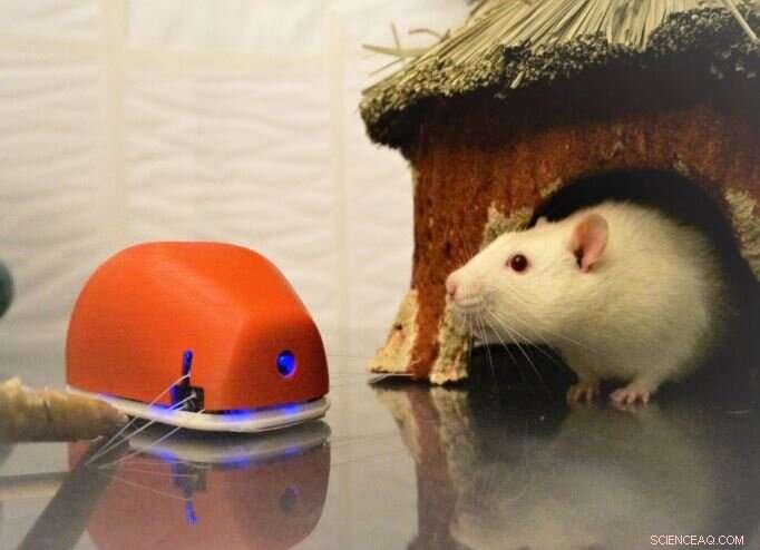 Whisker-Inspired Sensors Let Drones Detect Their Surroundings