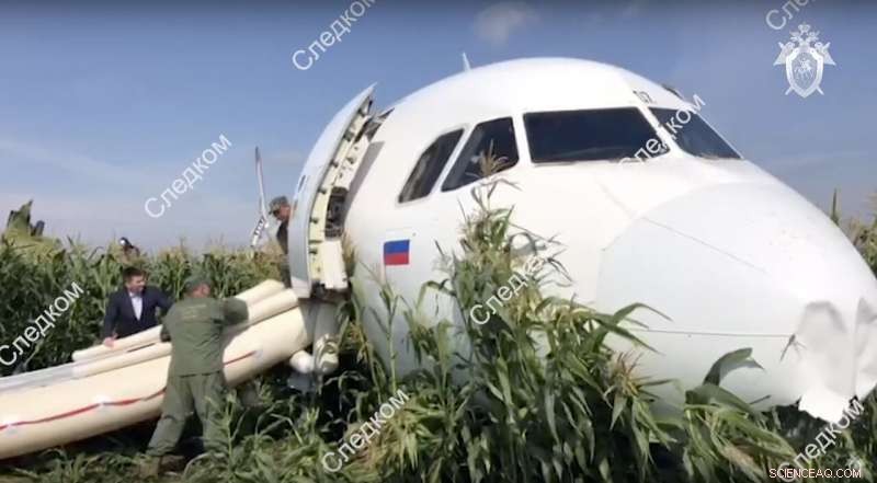 Ural Airlines Jet Lands Safely After Bird Strike, Pilot Hailed as Hero