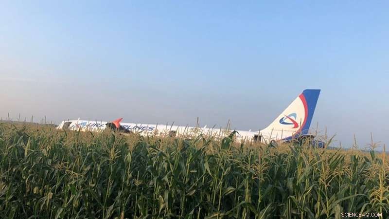 Ural Airlines Jet Lands Safely After Bird Strike, Pilot Hailed as Hero