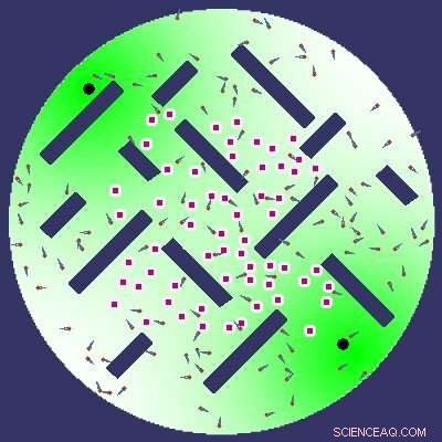 Advancing Robot Swarm Cooperation with Evolutionary Robotics