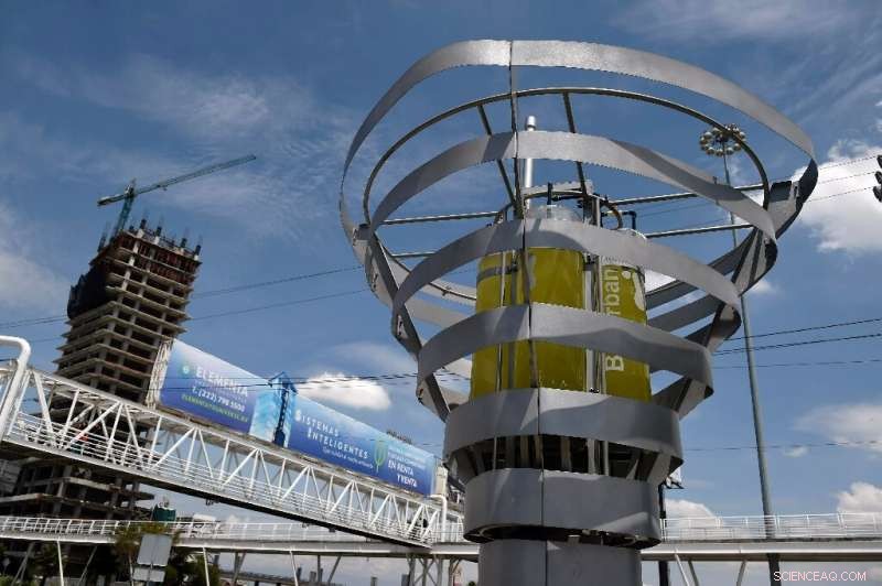 Mexican Startup Combats Air Pollution with Artificial Trees