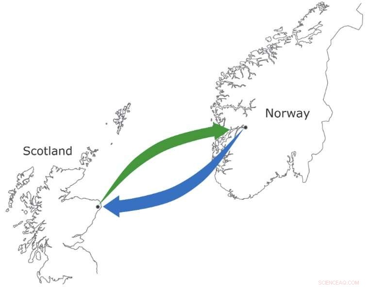 AI and Robotics: Safeguarding Offshore Energy Infrastructure for the Future