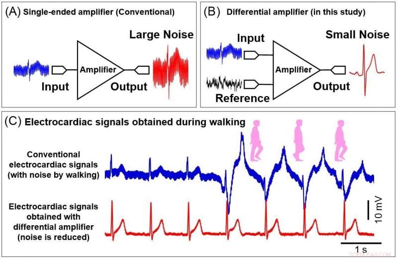 Ultra-Thin, Ultra-Lightweight Signal Amplifier: Elevating Bioinstrumentation with Minimal Noise