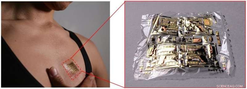 Ultra-Thin, Ultra-Lightweight Signal Amplifier: Elevating Bioinstrumentation with Minimal Noise