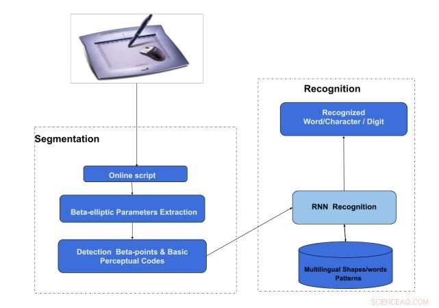Advanced Handwriting Recognition Models for Online Latin and Arabic Scripts