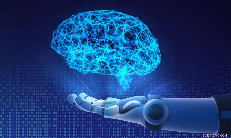 How Animal Brain Insights Are Shaping Smarter Robotic Dishwashers