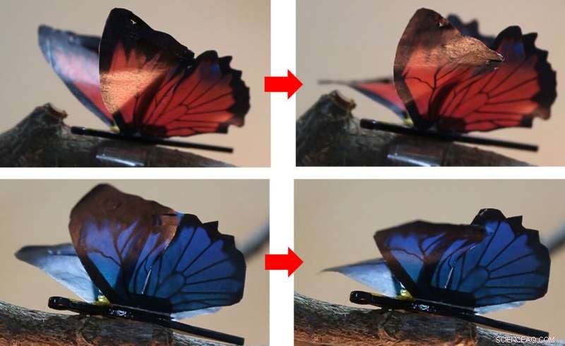 Artificial Muscles: Blooming, Dancing, and Waving—The Next Leap in Robotics