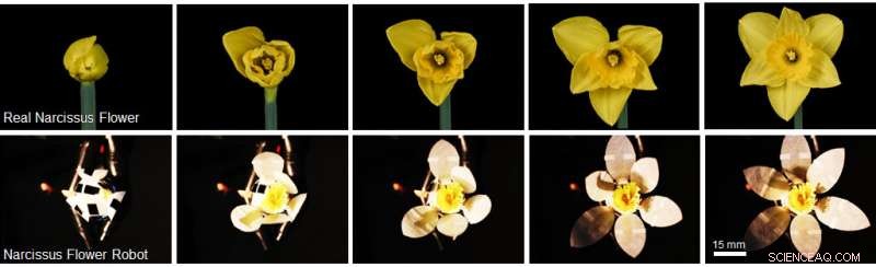 Artificial Muscles: Blooming, Dancing, and Waving—The Next Leap in Robotics