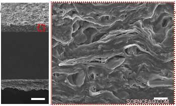 Artificial Muscles: Blooming, Dancing, and Waving—The Next Leap in Robotics