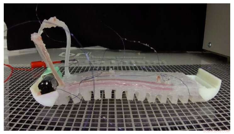 Real-World Life-Like Robots: The Future Is Near