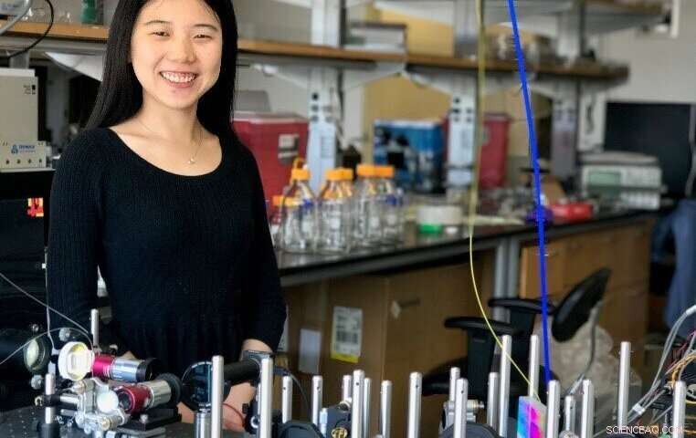 Deep Learning Detects Cancer Cells in Blood in Milliseconds—A Revolutionary AI Tool