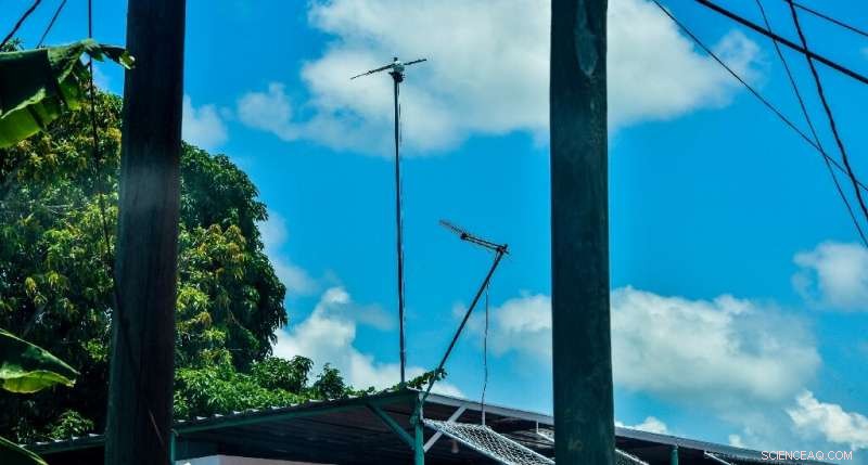 Cubas Intranet Pioneers Thrive Amid Regulatory Challenges