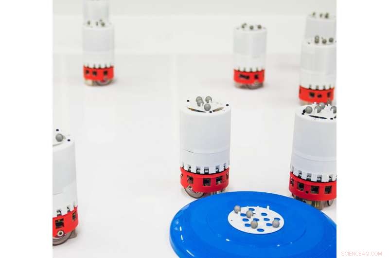 Bioinspired Robots Master On‑the‑Go Swarming