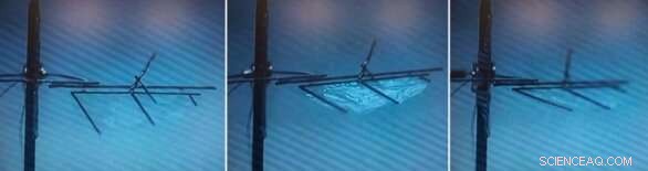 Innovative Jumping and Wing‑Flapping Microrobots Designed by UC Berkeley