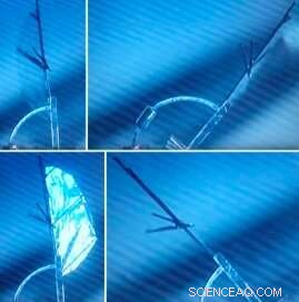 Innovative Jumping and Wing‑Flapping Microrobots Designed by UC Berkeley