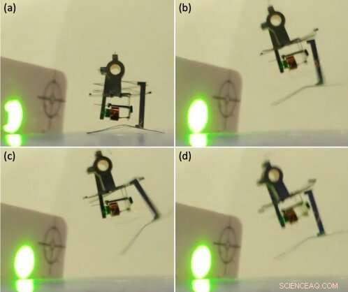 Innovative Jumping and Wing‑Flapping Microrobots Designed by UC Berkeley