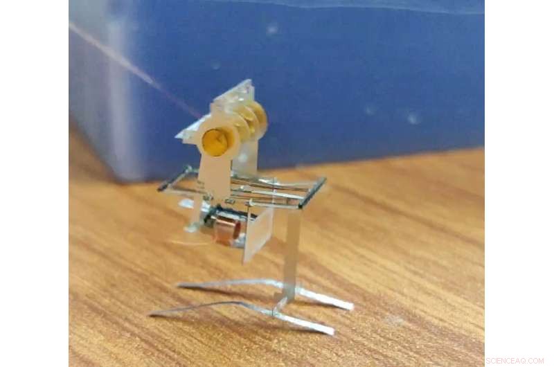 Innovative Jumping and Wing‑Flapping Microrobots Designed by UC Berkeley