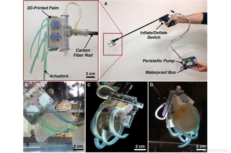 Ultra‑Soft Underwater Gripper Safely Grabs & Releases Jellyfish, Preserving Their Delicacy