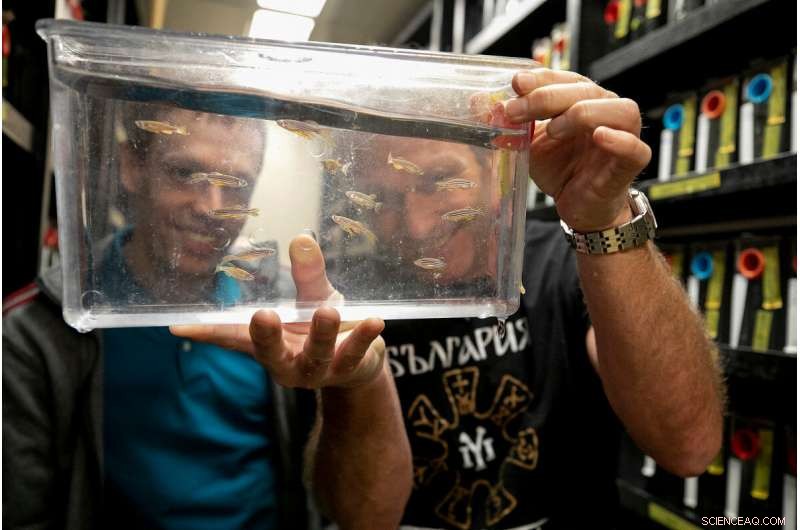 Artificial Neural Networks Offer New Insights into Biological Systems