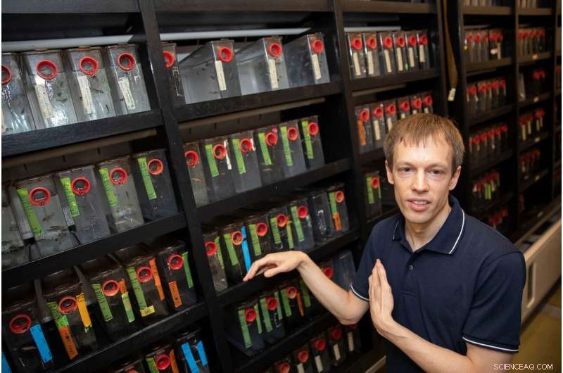 Artificial Neural Networks Offer New Insights into Biological Systems