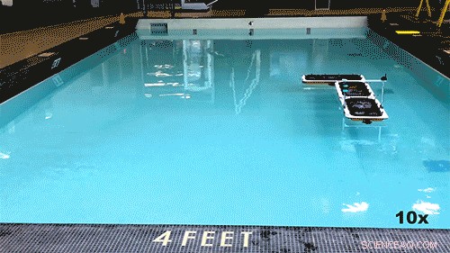 MIT Engineers Build Autonomous Boats That Shape‑Shift into Floating Platforms