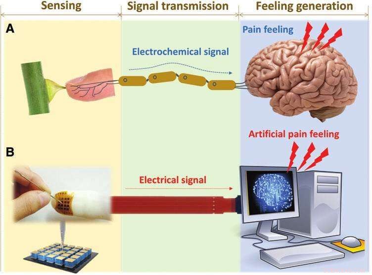 Advanced Psychosensory Electronic Skin for Next-Gen AI and Humanoid Robotics