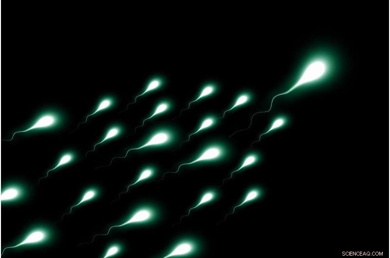 Sperm Count App: New Smartphone Technology for Accurate Analysis