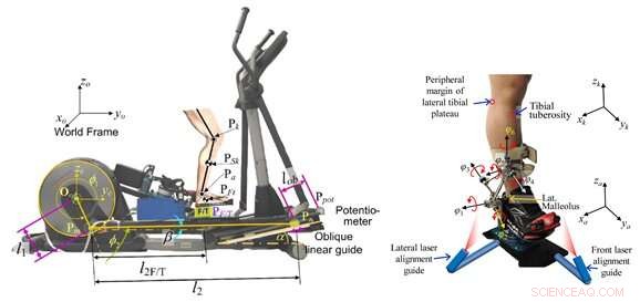 Innovative Robot Enables Real-Time Biodynamic Knee Osteoarthritis Assessment