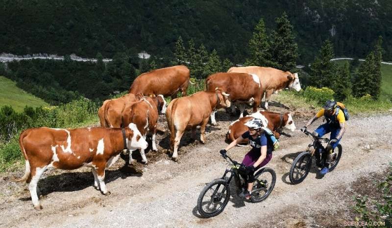 E‑bike Trails Offer Serene Rides Through the Bavarian Alps