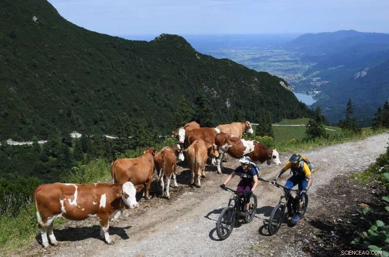 E‑bike Trails Offer Serene Rides Through the Bavarian Alps