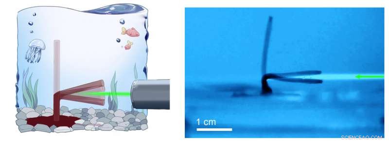 Soft Hydrogel Oscillator Drives Phototactic Swimming Robot